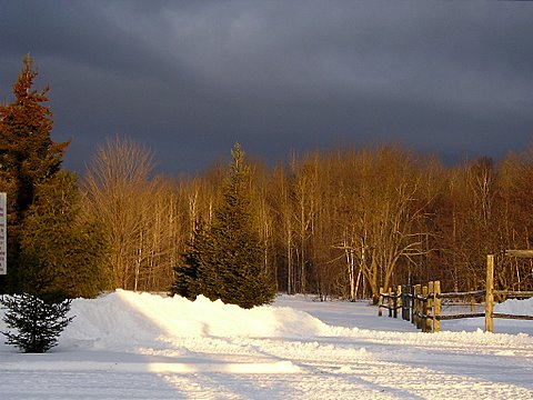 Winter scene